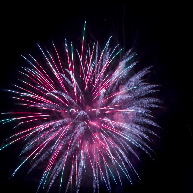 fireworks purple fireworks purple