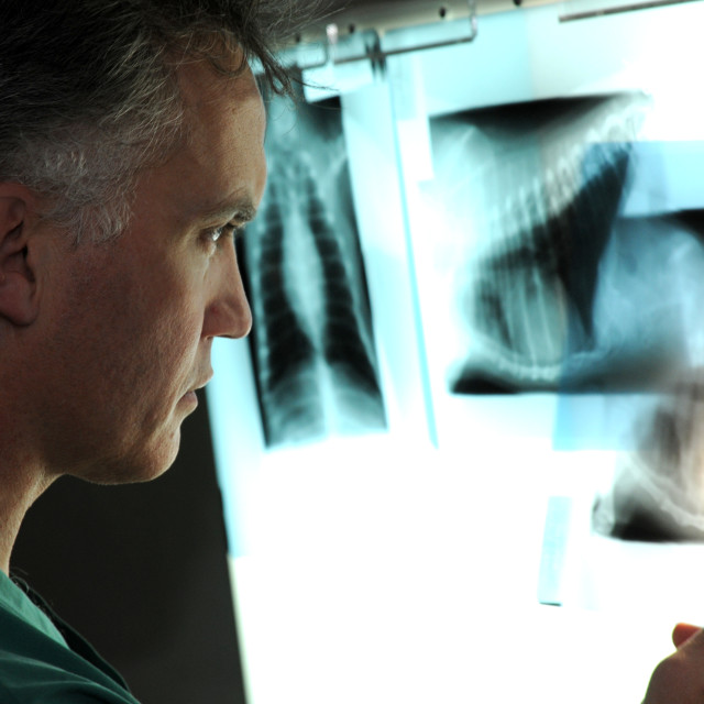 "Vet and X-ray" stock image