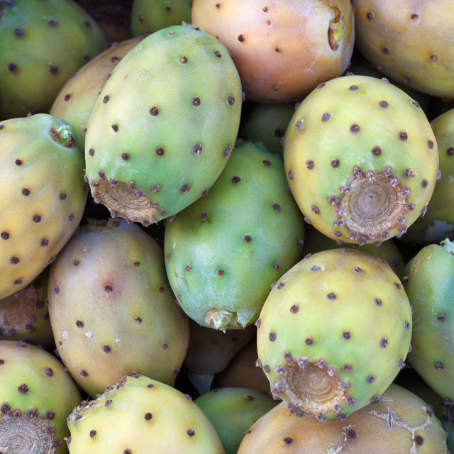 "Prickly Pears" stock image