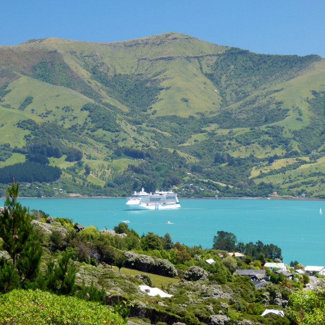 "Cruise ship at Akaroa NZ" stock image