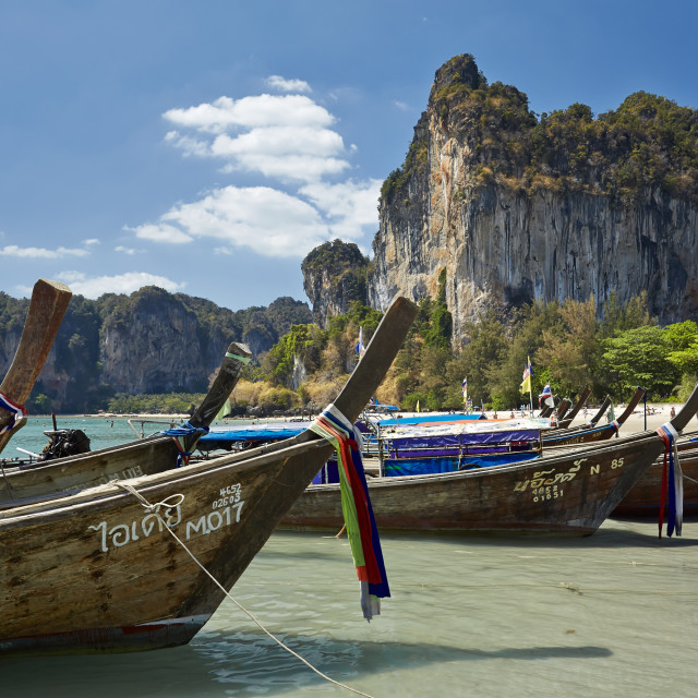 "Long tial boats on beach" stock image