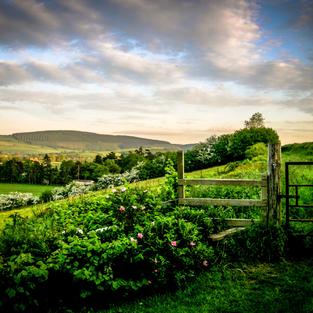 "Over the stile" stock image