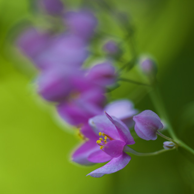 "Natures Artwork" stock image