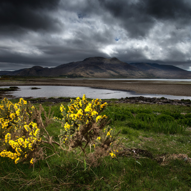 "Loch Na Keal - Isle of Mull" by Jeff Carter - $12.33 "Loch Na Keal - Isle of Mull" stock image