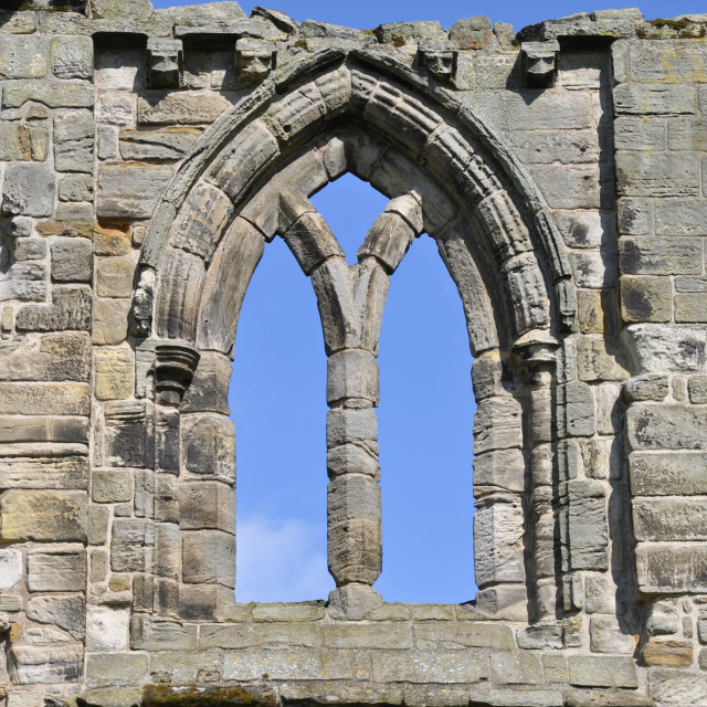 "St Andrews Cathedral Ruins" stock image