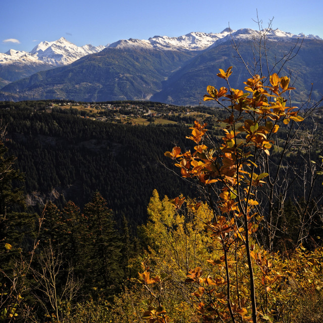 "Autumn Colour" stock image