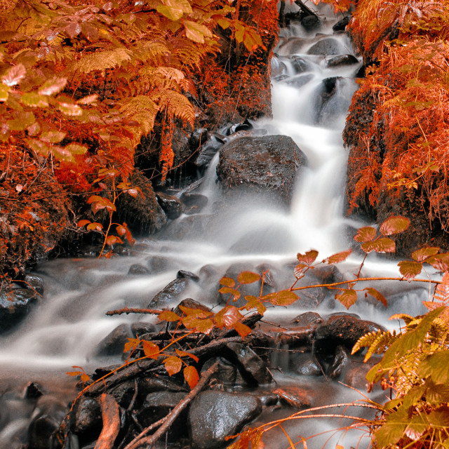 Autumn Falls 2 Autumn Falls 2