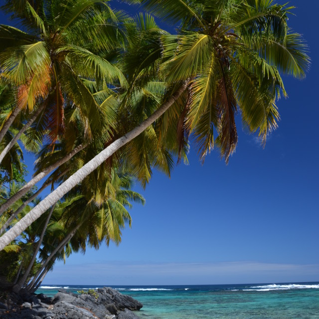 "Paradise Beach" stock image