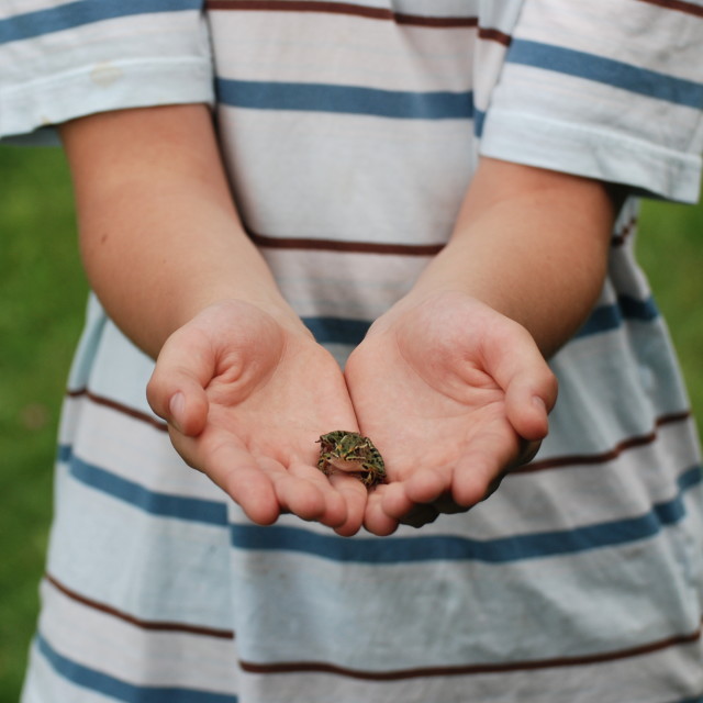 "Prince Charming" stock image