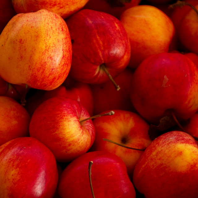 "Red Apples" stock image