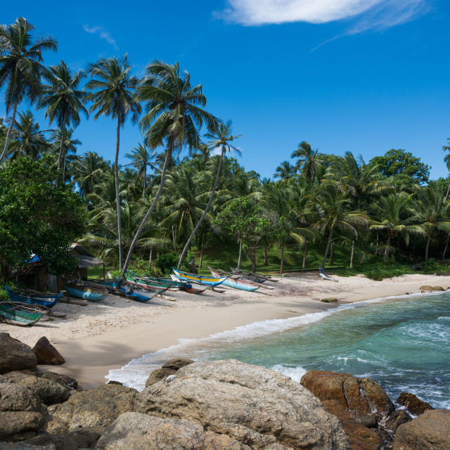 "Tropical rocky beach" stock image