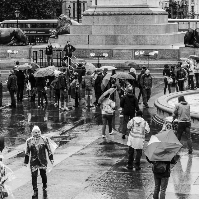 "Trafalgar Square" stock image
