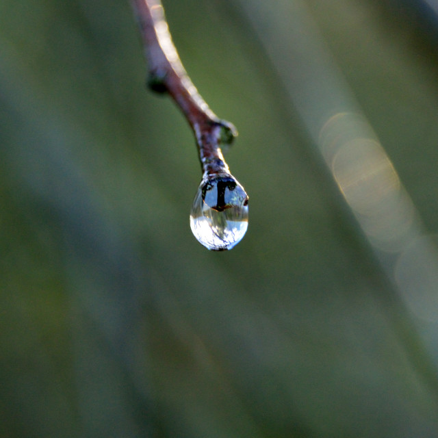 "Water Droplet" stock image