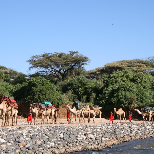 "Masai and camels in northern Kenya" stock image