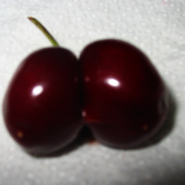 "Blurry Siamese Twin Cherry" stock image