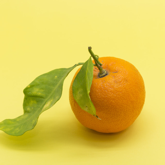 "ripe orange" stock image