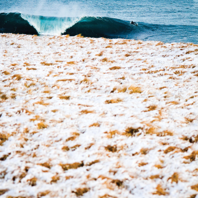 "Surfing in the snow" stock image