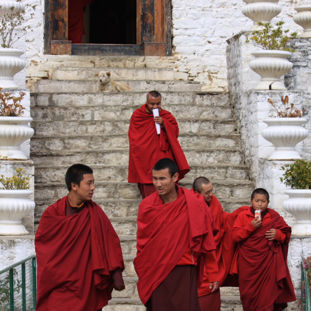 "Student monks, Bhutan" stock image