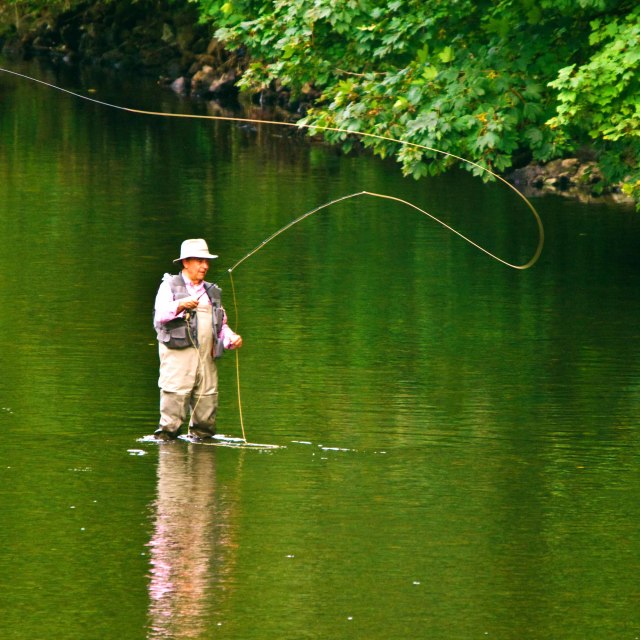 "Man casting a fishing rod in the river Tawe at Pontatdawe" stock image
