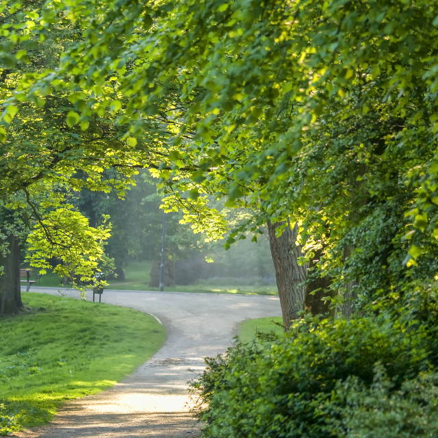 "Park in early morning light" stock image