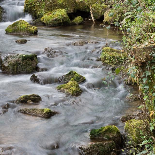 "Smooth River" stock image