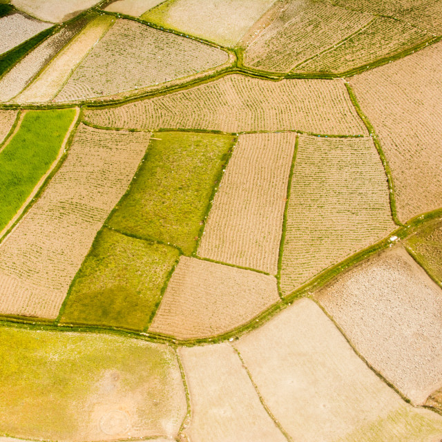 "Aerial view of bhutanese farming land" stock image