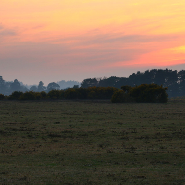 "SunSet in New Forest #2" stock image