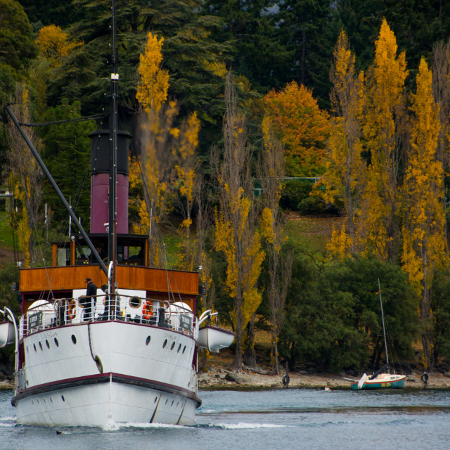 "Queenstown Steam Boat" stock image