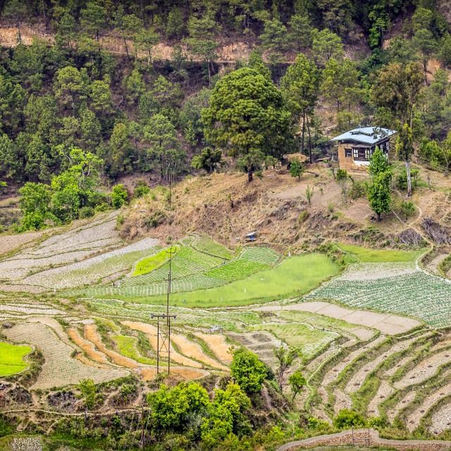 "Bhutanese valley farmhouse" stock image