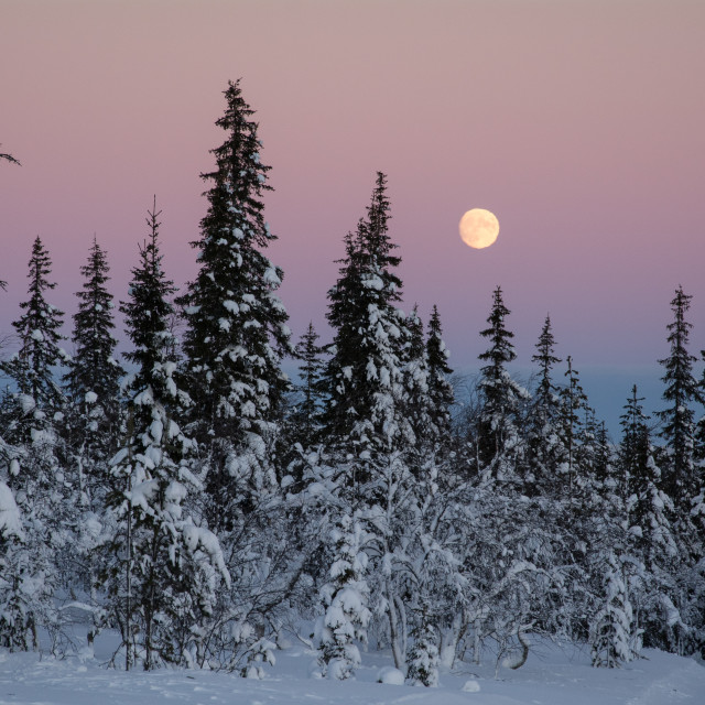 "Finnish Moonrise" stock image