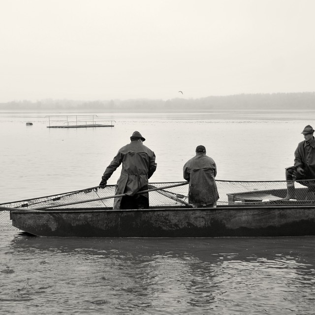 "Fishing Out 3" stock image