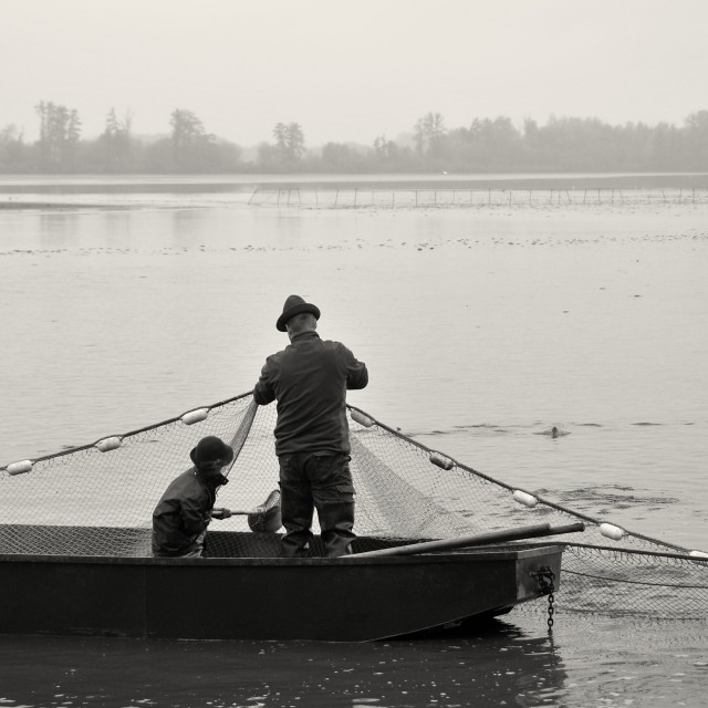 "Fishing out 4" stock image