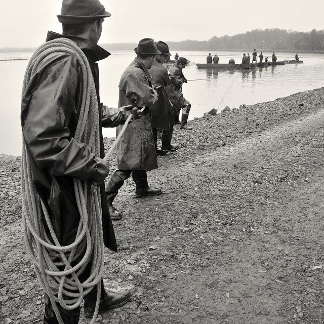 "Fishing Out 5" stock image