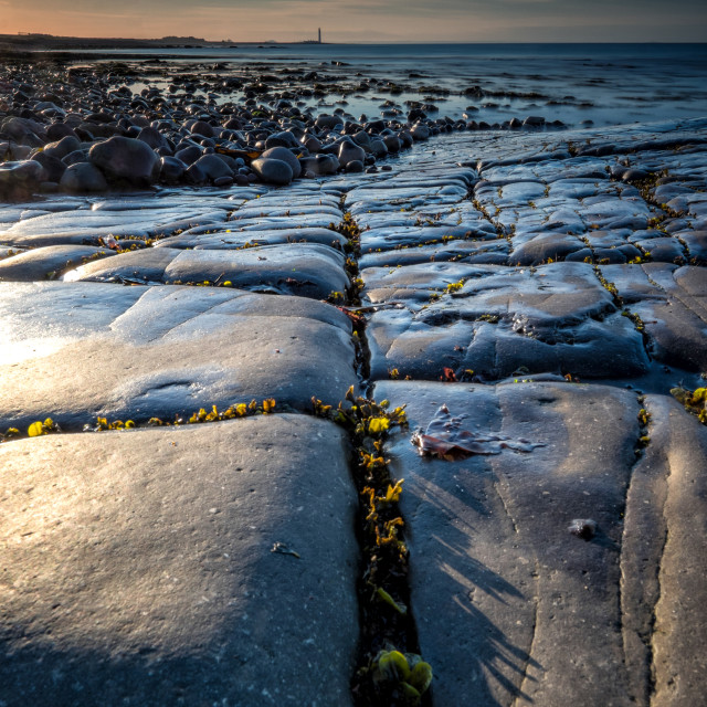 "East Lothian Coast Line" by Jeff Carter - $12.33 "East Lothian Coast Line" stock image
