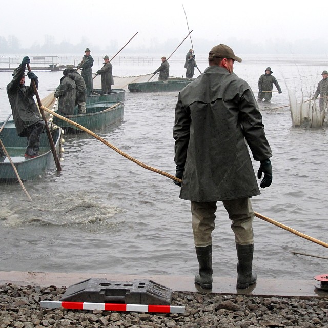 "Fishing Out 6" stock image