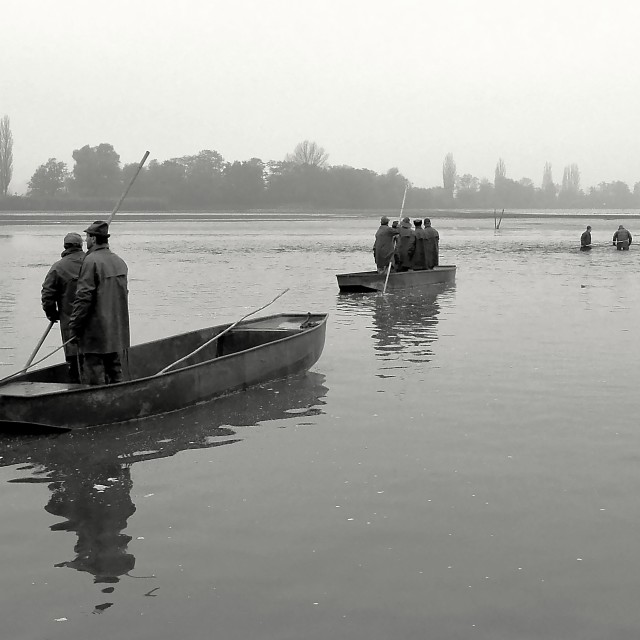 "Fishing Out 8" stock image