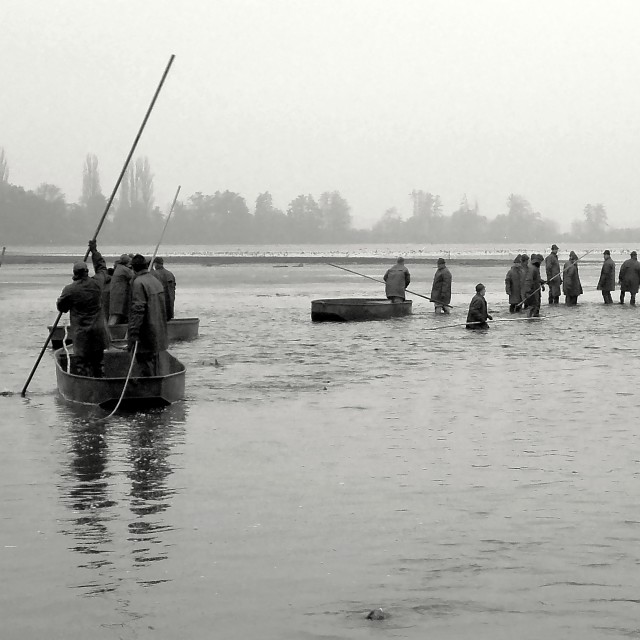 "Fishing Out 9" stock image