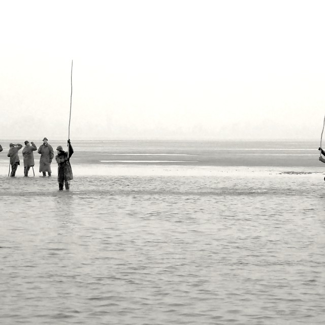 "Fishing Out 19" stock image