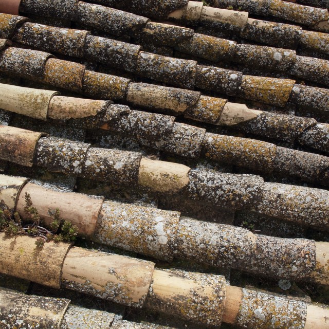 "Old Roof" stock image