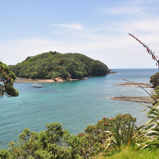 Goat Island - New Zealand - License, download or print for £4.96 ...