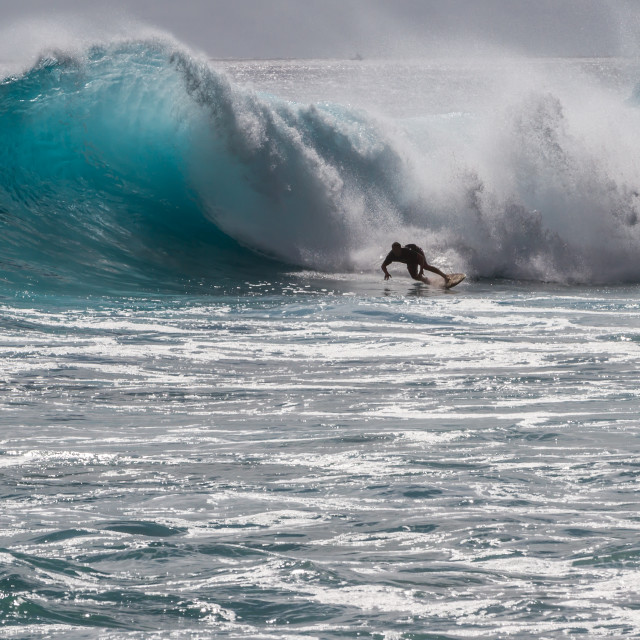 "Surfing in Hawaii" stock image