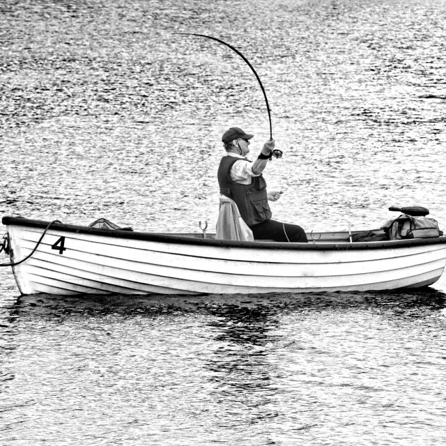 "Fishing" stock image