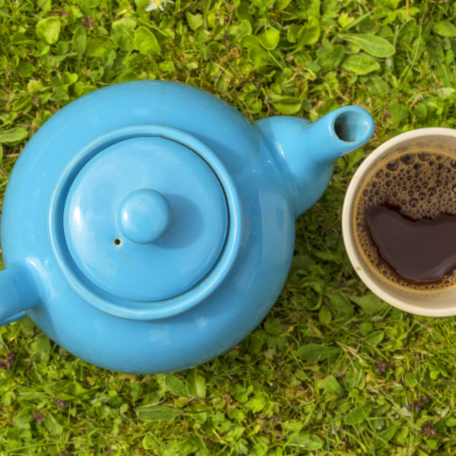 "Blue teapot and cup with tea" stock image
