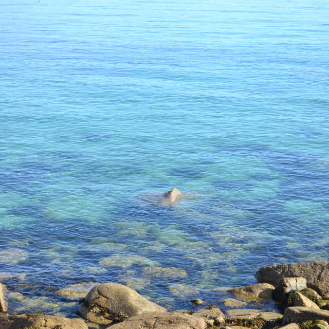 "Clear Sea, Isles of Scilly" stock image