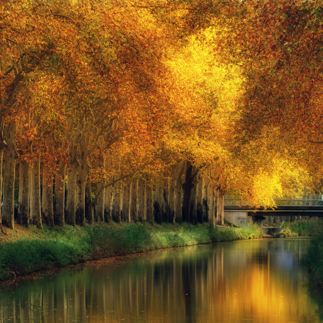 "Autumn at Canal du Midi, Toulouse, France" stock image