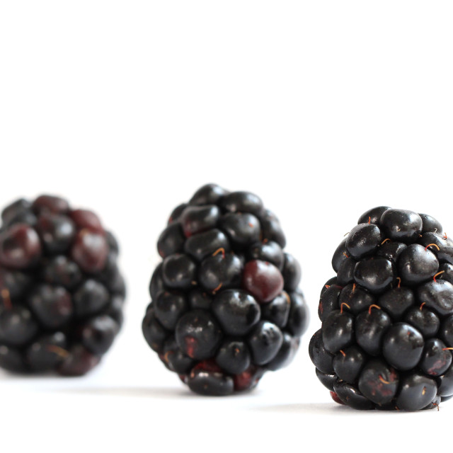 "Three Blackberries" stock image