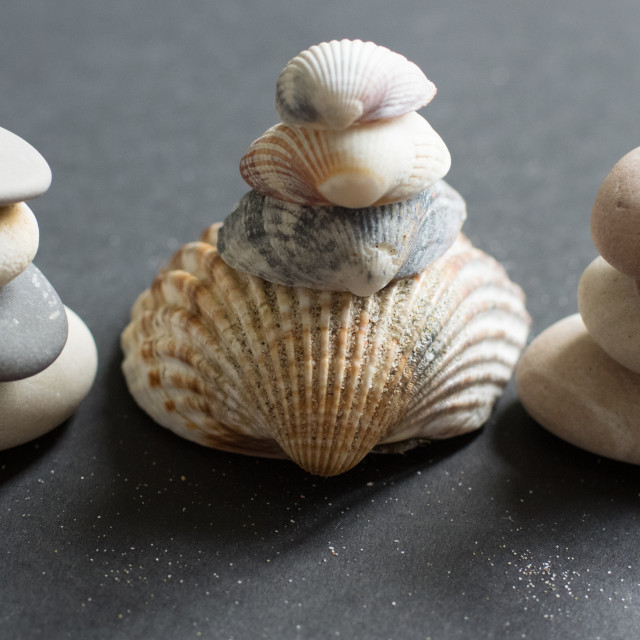 "Stone and shell balance" stock image