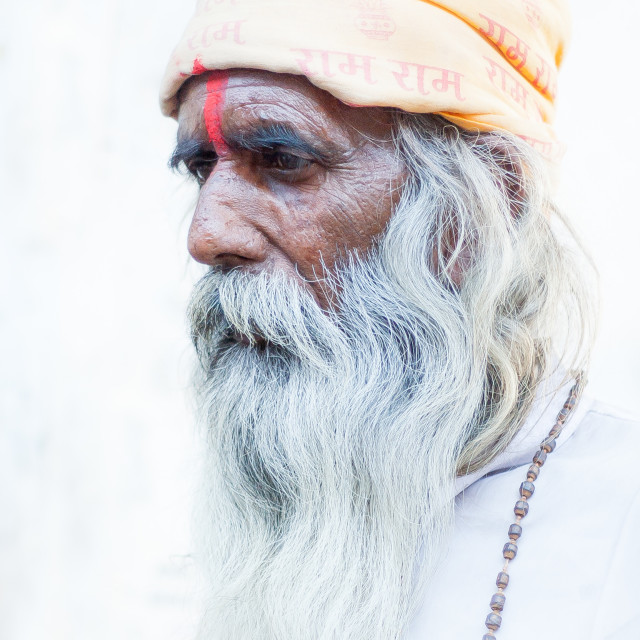 "street portrait" stock image
