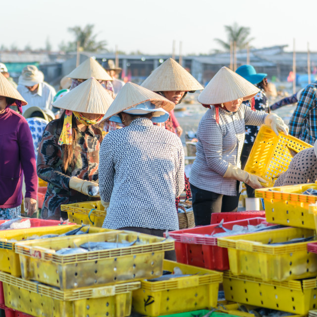 "People's daily life at fishing village Long Hai, they collecting fresh fishes from boat and open up a market in the early morning" stock image