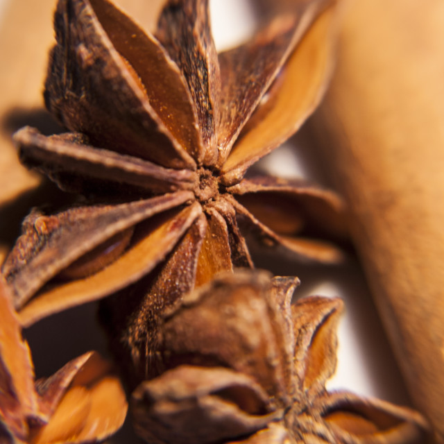 "Star Anise" stock image